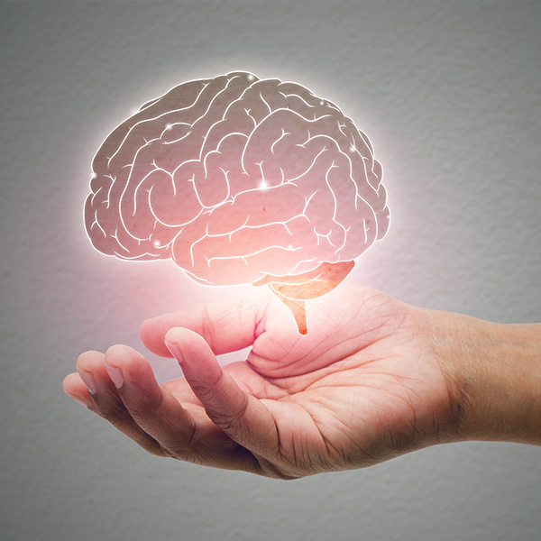 Cognitive Support